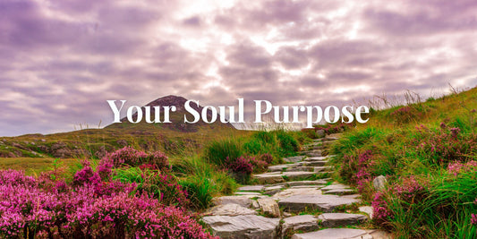 Finding your soul purpose