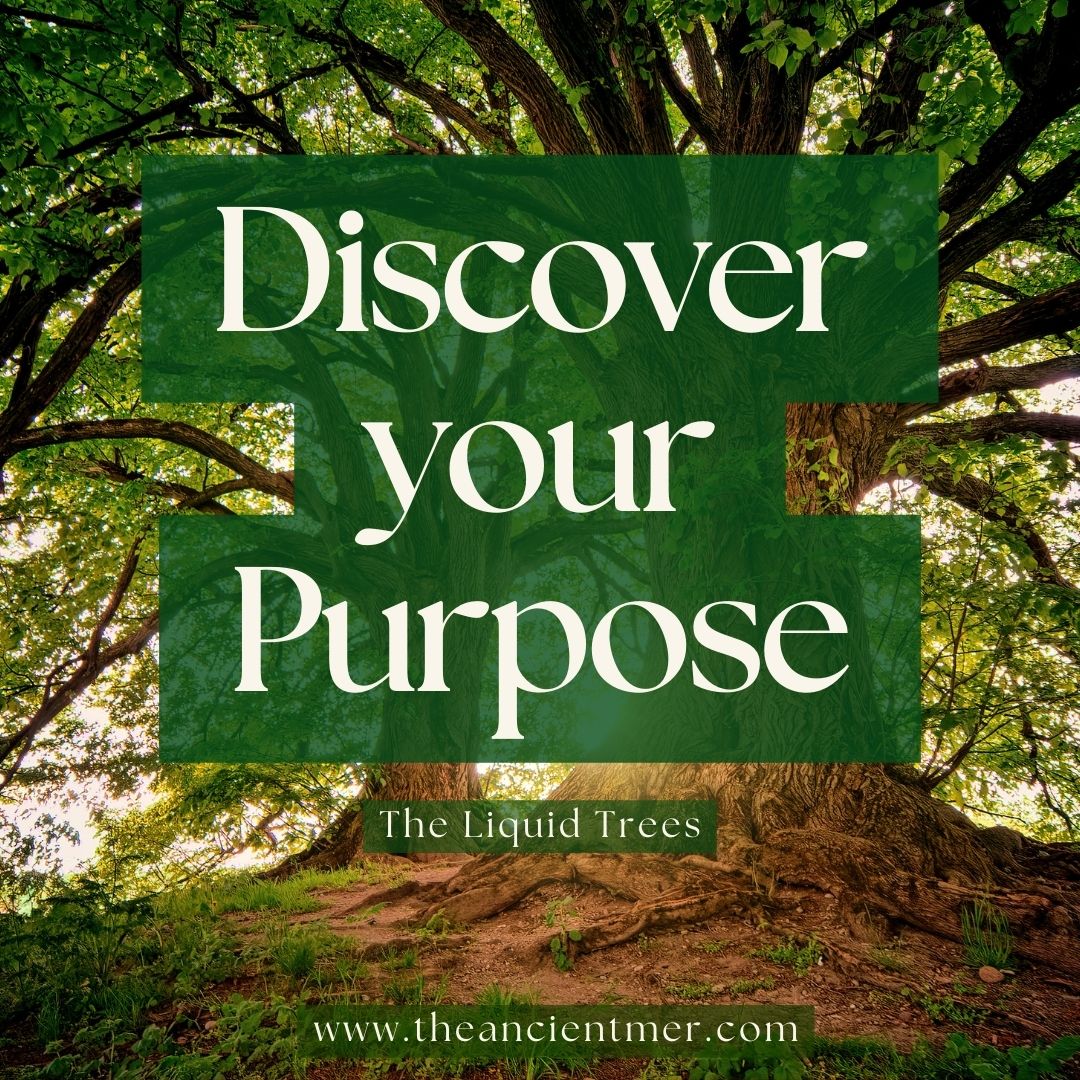 Discover your Purpose - TLT