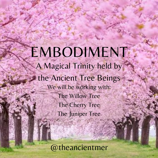 Embodiment with the Ancient Tree Beings