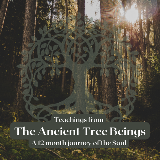 The Ancient Tree Beings